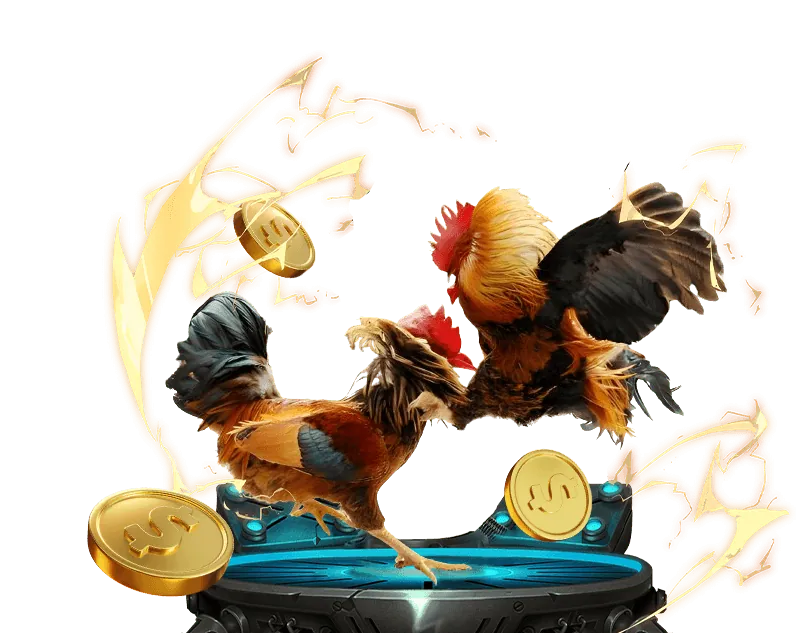 Quản lý tài khoản Loto188